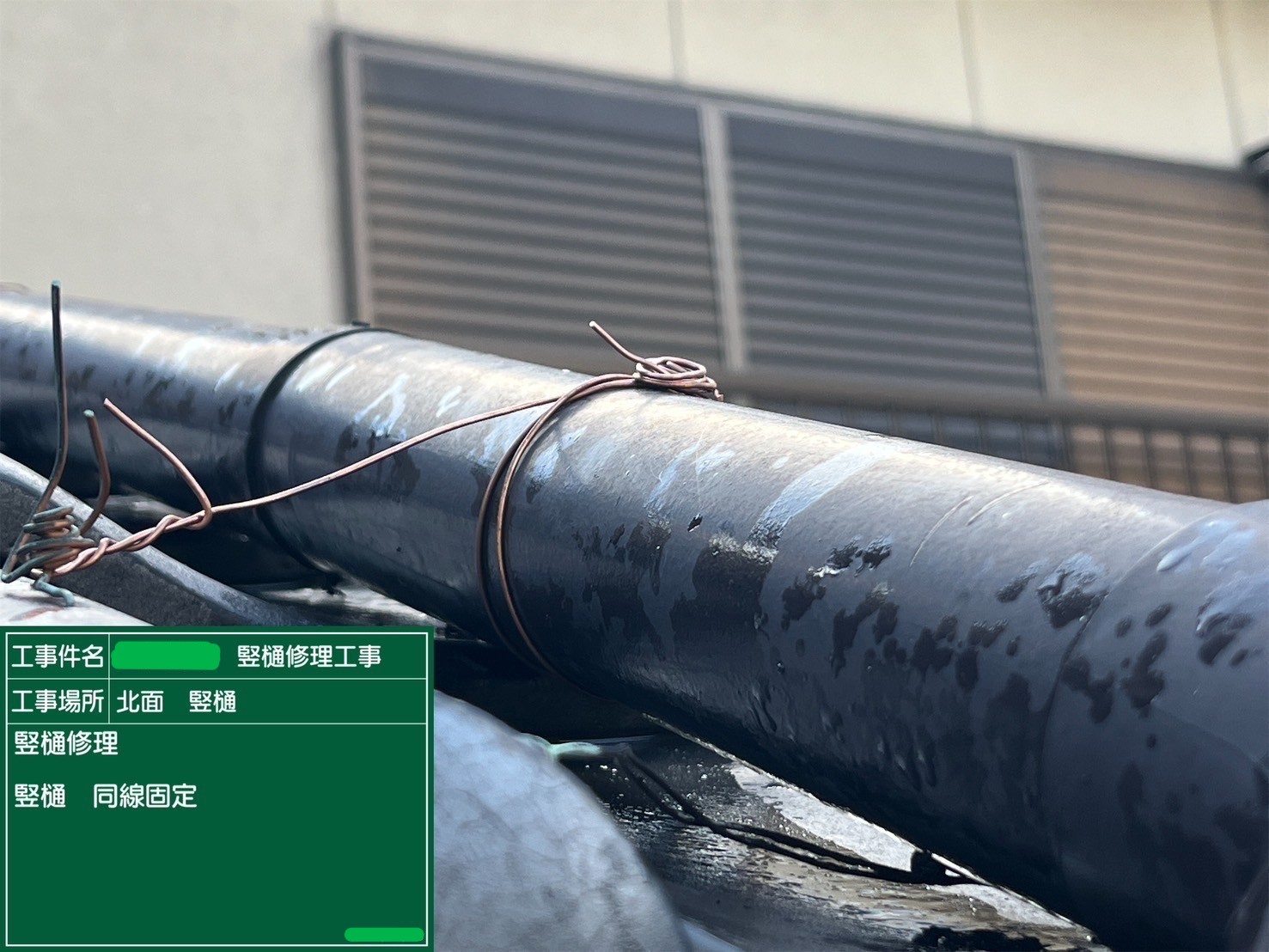 竪樋補修